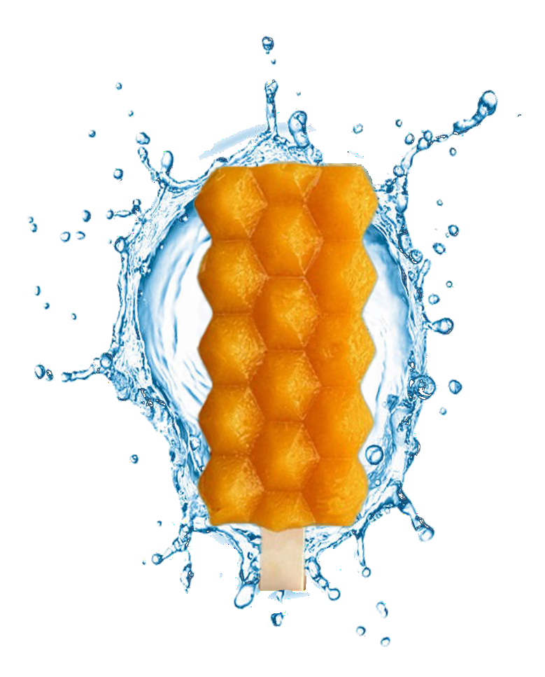 Seagems Mango Sea Moss Popsicle